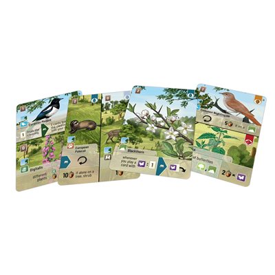 Forest Shuffle : Woodland Edge Expansion (EN)